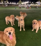 문정희, 반려견 마누와 애견카페서 행복한 시간..기분이 좋은 마누 강아지