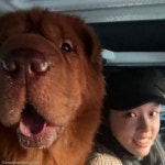 설현, 반려견 덩치가 찍어준(?) 셀카 공개..엄마 여기 바바