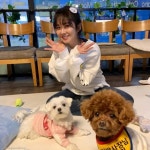 공사장 강아지 재롱이, 배우 장나라와 깜짝 만남..신기하고 행복했다아..