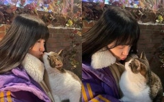 걸스데이 방민아, 고양이와 달달한 입맞춤..사고뭉치 네모네모