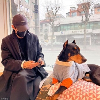 배정남, 전신마비 반려견 '벨' 호전된 근황 전해..