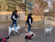 박세리, 반려견 시루, 모찌와 함께한 산책 ..아이구 행복해