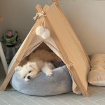 나만 사랑한다며? 상의 없이 둘째(?) 들인 집사에게 서운한 강아지