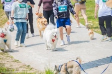 개통령 강형욱과 함께 반려견 트레킹 떠나자 댕댕트레킹2023