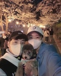 한영♥박군, 반려견 오월이와 야간 벚꽃구경..꽃보다 예쁜 가족