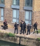 대낮에 개 두 마리 총으로 사살한 경찰 논란..비인도적이고 불필요한 폭력