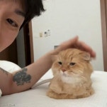 코드 쿤스트, 반려묘 '시루', '판다'와의 행복한 일상 공개..."고양이도 예뻐해 줘야 되고"