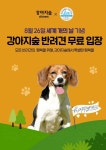 강아지숲, 26일 세계 개의 날 맞아 방문견 무료입장 이벤트 진행