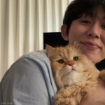 코드 쿤스트, 반려묘 '시루♥판다'와 함께하는 집사 일상 공개