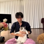 코드 쿤스트, 반려묘 '시루♥판다'와의 행복한 일상 공개..."아주 그냥 살맛 납니다"