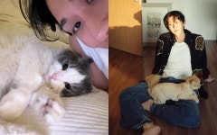 코드 쿤스트, 반려묘 '시루♥판다'와 함께한 여유로운 일상 공개