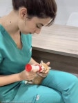 아픈 동물 친구들 간호해 주는 동물병원 고양이 직원...새끼냥 특급 케어까지
