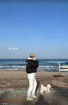 송혜교, 반려견 루비와 바닷가 산책...너랑 나랑♥