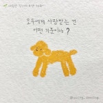 [사랑은 강아지 모양] 모두에게 사랑받는 기분