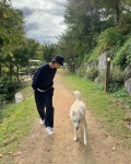 홍종현, 반려견 진이와 산책하는 일상 공개...달려 홍진!!