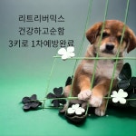경북 성주 수륜면에서  리트리버 발견 보호