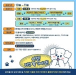 파주시, 반려견과 함께하는 ‘파주시티댕투어’와 디엠지(DMZ) 펫 트레킹 운영