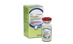 한국베링거인겔하임동물약품, 동물 당뇨병 치료제 프로징크 국내 출시