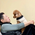 양희은, 18년 함께한 반려견 미미 떠나보내...이젠 안녕!! 내 강아지들