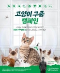 한국베링거인겔하임동물약품(주), 고양이 구충 캠페인 진행