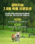 강아지숲, 7~8월 온라인 특별 프로모션 진행...최대 30% 할인