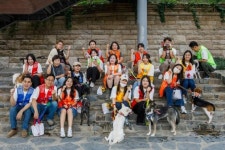 함께 걷고 교감한 행복한 순간!...한국마즈(유), 발라당 입양센터서 유기견 산책 봉사 진행