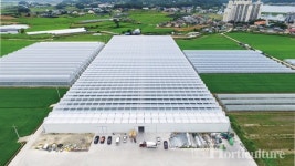 스마트팜으로 날개 단 연매출 160억 토마토 농장