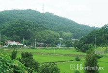 더불어 행복한 마을, 은고개 마을로 놀러 오세요~