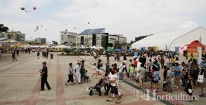 국산 인삼 경쟁력 제고를 위한 인삼 산업 엑스포