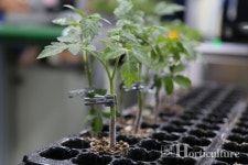 영상인식기술로 자동접목시스템 정확성 확보