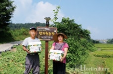 동남아시아 채소 다품목 소량생산으로 수익성 증대