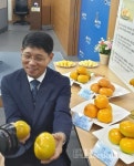 떫지 않은 국산 단감 즐겨 먹어요