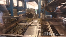 [한국공정육묘연구회] 한걸음 나아간 공정육묘 자동화