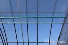 국산PO필름 솔라이트 3년 사용, 고품질 딸기생산