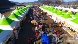 양촌 곶감 축제, 감빛 물든 논산으로
