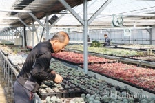 뚝심 있고 장인정신 있는 사람만 살아남을 것