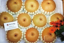 농수산대학 졸업 후 배 농부가 됐어요