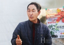 피피에스 TY스위티니 소비시장 반응 뜨거운 대추형 방울토마토