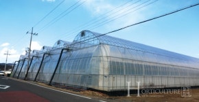 토마토 최적 생육환경 제공으로 흰가루병도 문제 없어