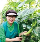 소비자와 소통하는 오이 농장