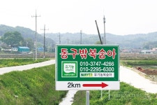 강남에 소문난 유기농 장호원 복숭아