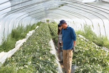 멜론, 기능성으로 날개를 달다