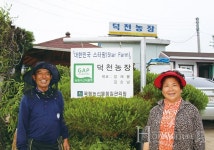 낙안 꿀배로 담근 갓김치, 백화점 바이어도 엄지 척