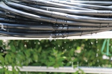 관수시설 기술력으로 해외시장 공략한다