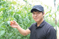 토마토로 농업의 소중함 일깨운다