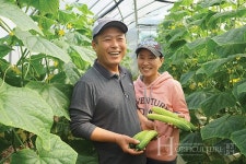 귀농 11년차 농부의 아우내 오이 이야기