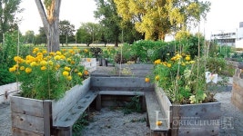 이웃과 수확물 나누며 행복을 만들어 가는 캐나다의 커뮤니티 가든