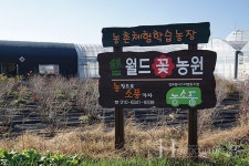 즐거운 화훼체험농장으로 놀러 오세요~!