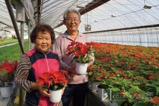 은퇴 후 분화 농원으로 제2의 삶을 열다