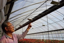 은퇴 후 분화 농원으로 제2의 삶을 열다